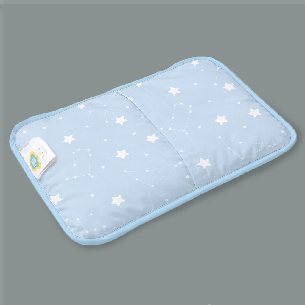 Organic Rai Pillow - Cosmos