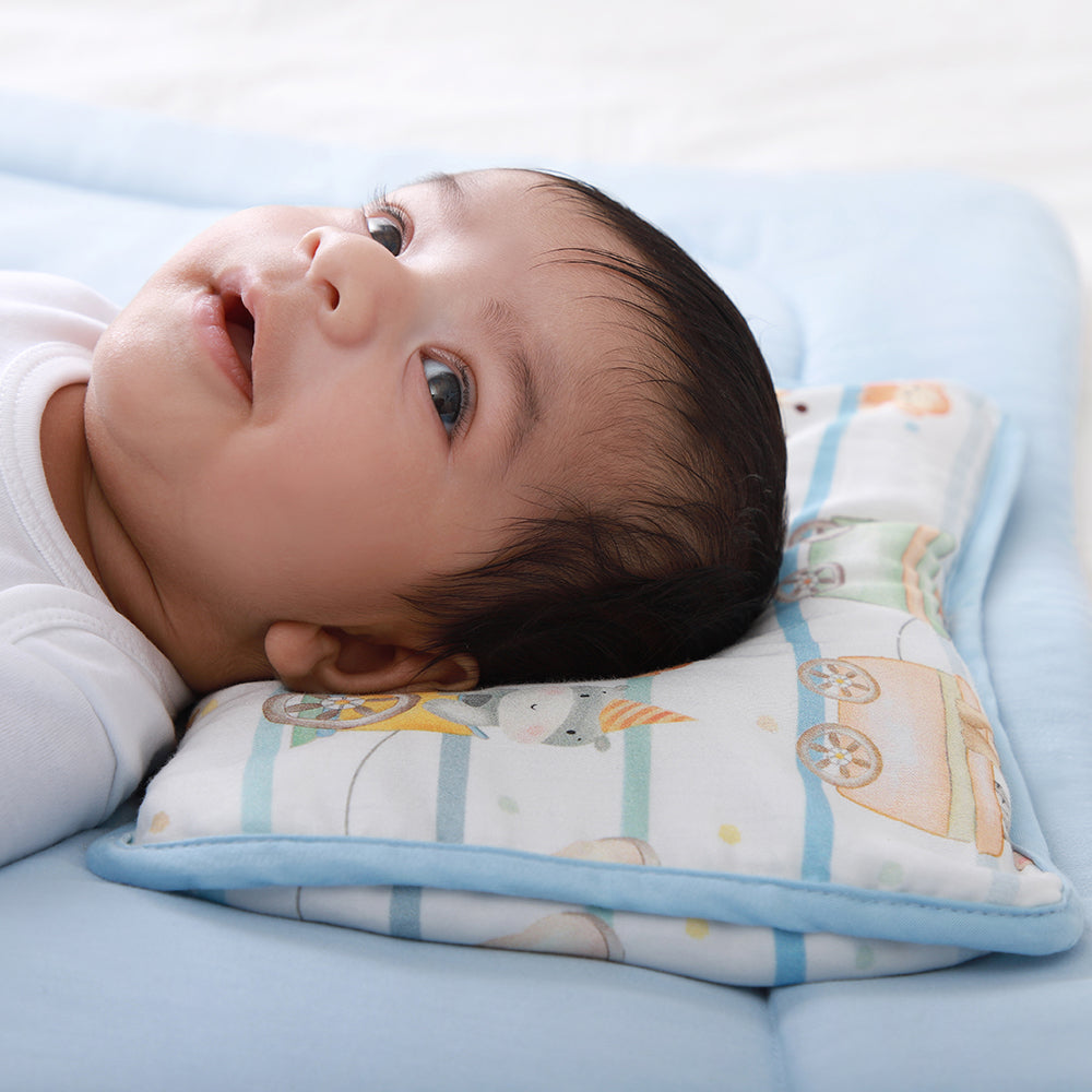 Organic Rai Pillow - Joy Ride