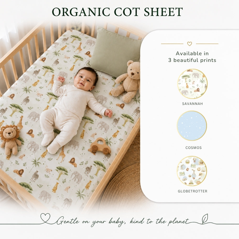 Organic Cot Sheet- Globetrotter
