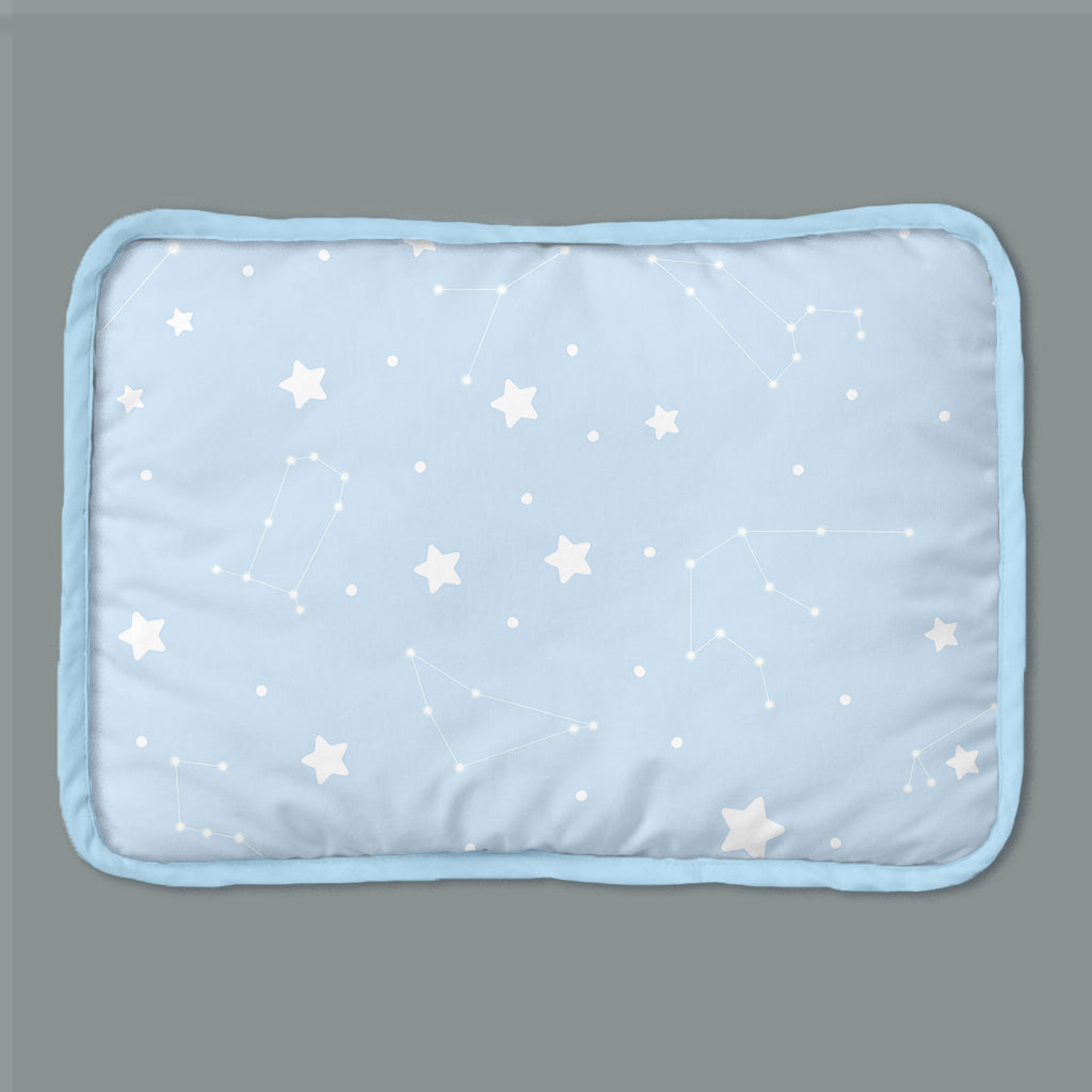 Organic Rai Pillow - Cosmos