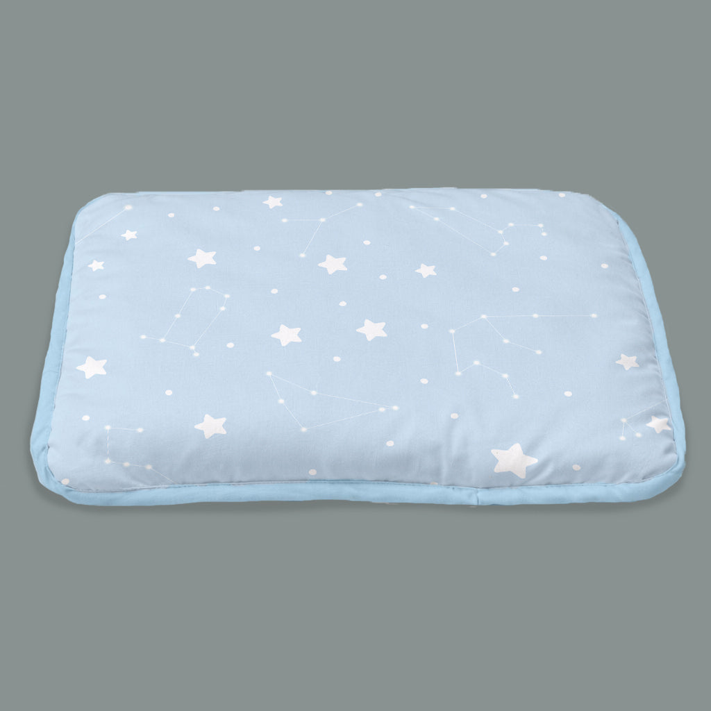 Organic Rai Pillow - Cosmos