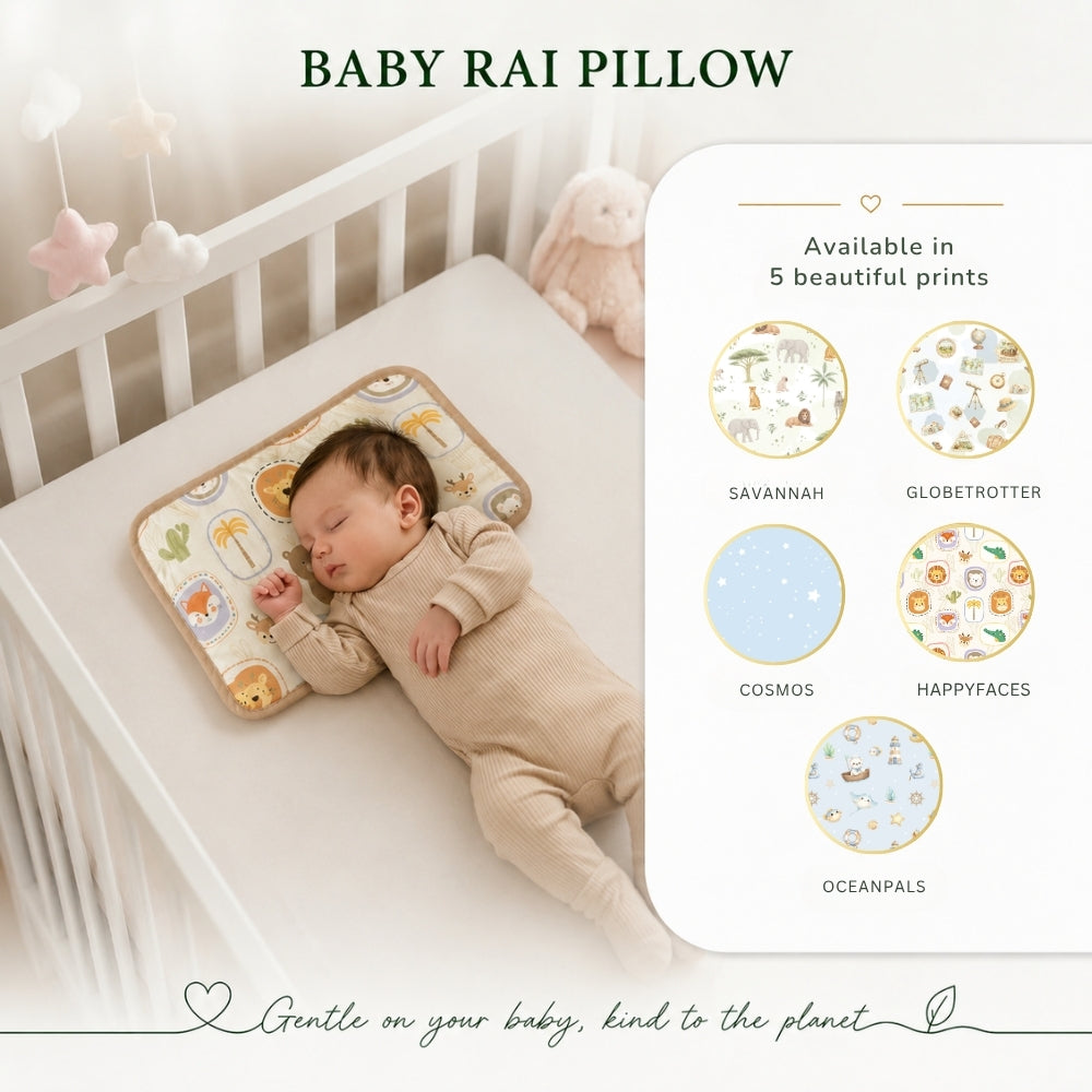 Organic Rai Pillow - Cosmos