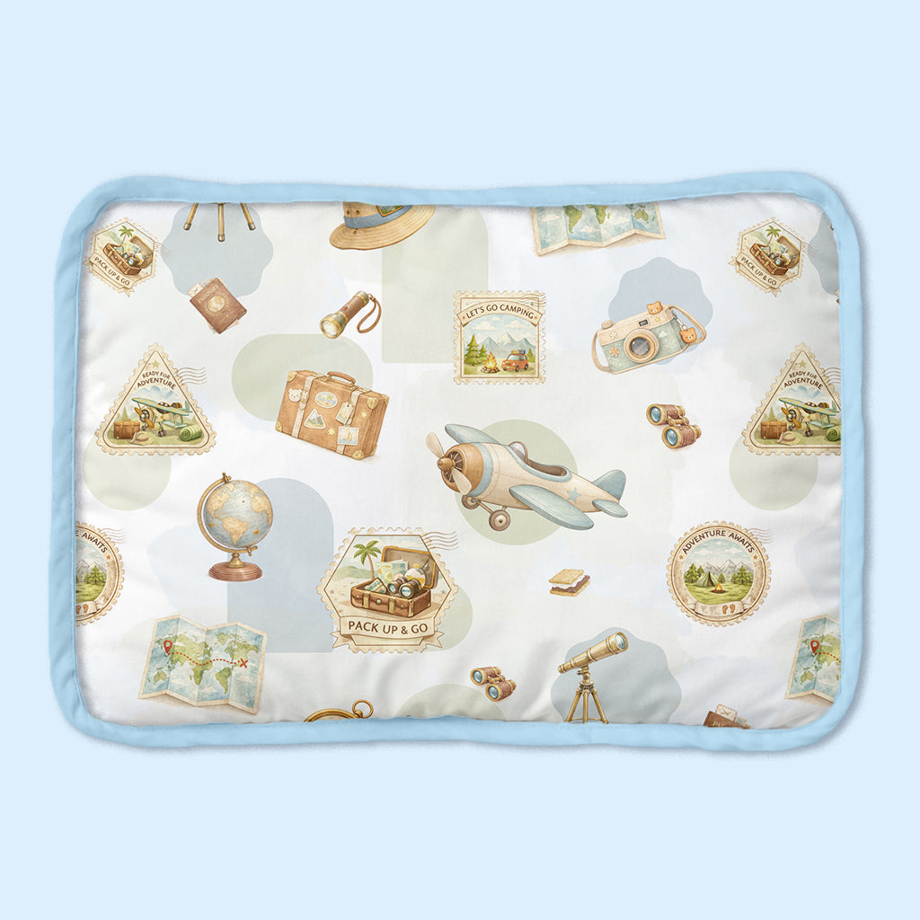 Organic Rai Pillow - Globetrotter