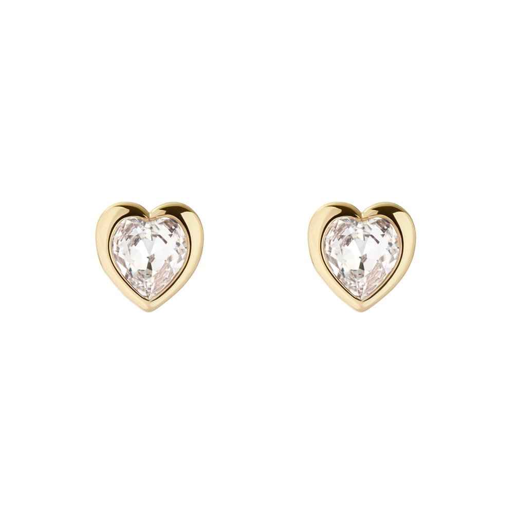 Free Ted Baker Earrings